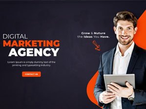 Agency & Firm Website Designs